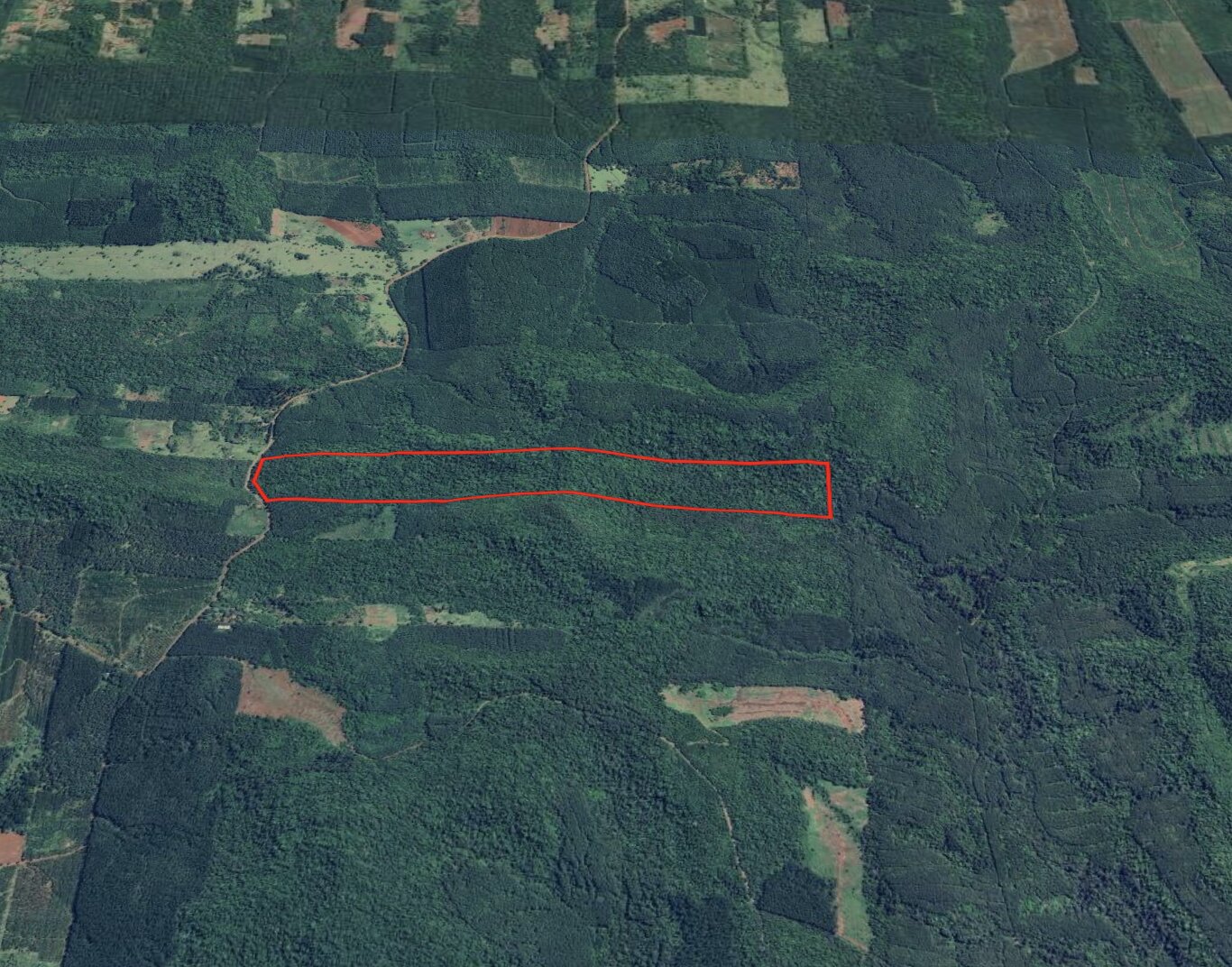 PROPIEDAD AGRICOLA/FORESTAL DE 41HA EN VENTA EN SANTIAGO DE LINIERS | MISIONES - 2