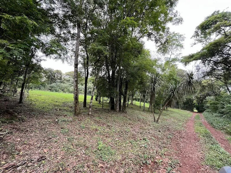 2 LOTES RESIDENCIALES EN VENTA UBICADOS SOBRE CALLE ARGERICH KM10 | ELDORADO MISIONES - 2
