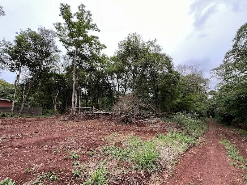 2 LOTES RESIDENCIALES EN VENTA UBICADOS SOBRE CALLE ARGERICH KM10 | ELDORADO MISIONES - 3