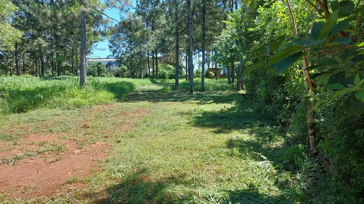 LOTES COMERCIALES EN VENTA UBICADOS SOBRE RUTA NACIONAL 12 Y AV. HIPOLITO IRIGOYEN KM6 | ELDORADO MISIONES - 2