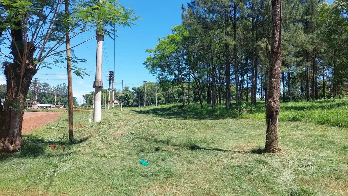 LOTES COMERCIALES EN VENTA UBICADOS SOBRE RUTA NACIONAL 12 Y AV. HIPOLITO IRIGOYEN KM6 | ELDORADO MISIONES - 3