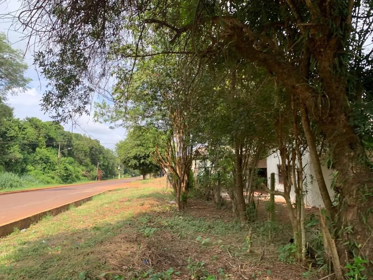 Terreno Comercial Con Mejoras Sobre Av. San Martín Km 1 Eldorado, Misiones - 4