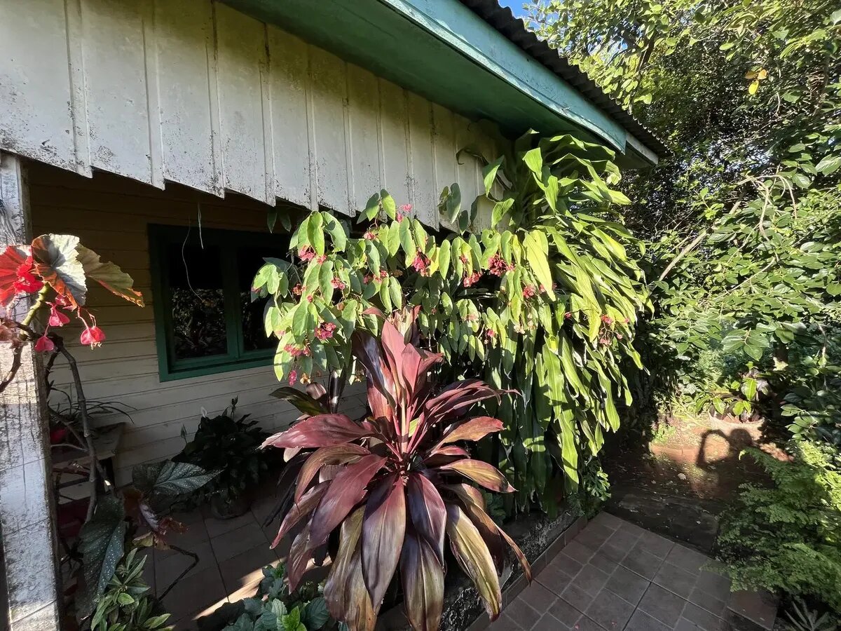 PROPIEDAD EN VENTA SOBRE CALLE SUIZA KM9 EN PLENO CENTRO | ELDORADO MISIONES — foto 3