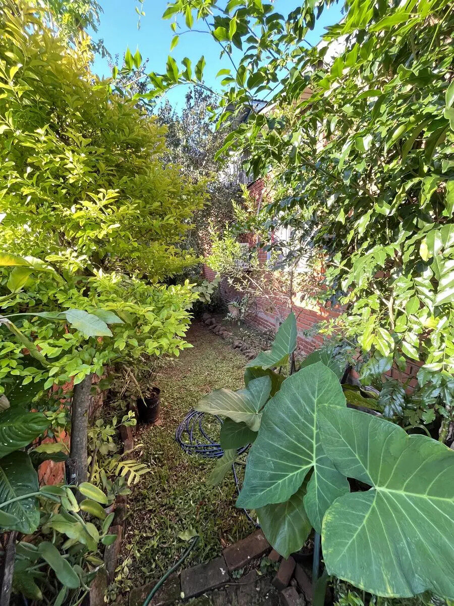 PROPIEDAD EN VENTA SOBRE CALLE SUIZA KM9 EN PLENO CENTRO | ELDORADO MISIONES — foto 4