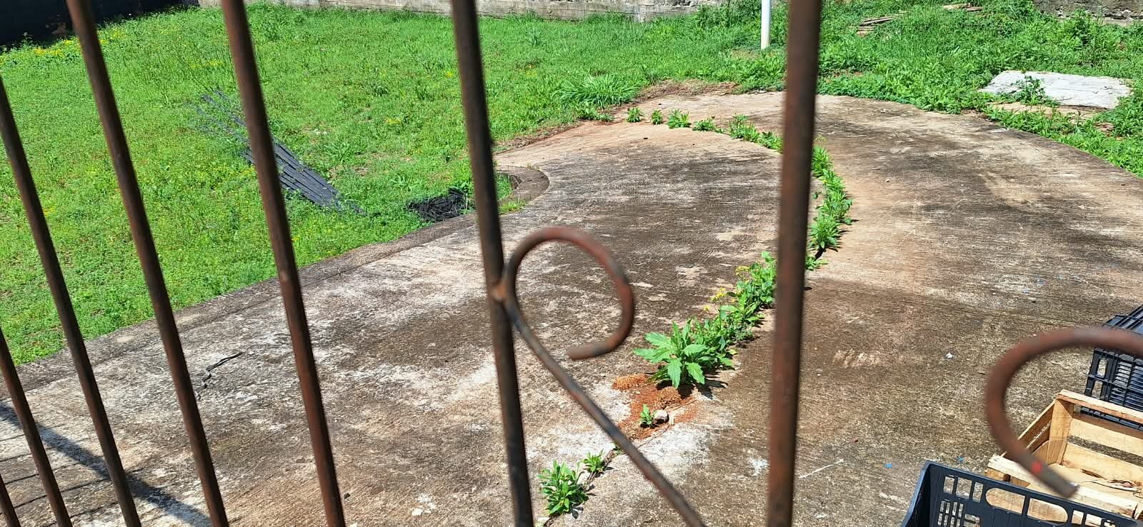 PROPIEDAD COMERCIAL: 2 LOCALES EN VENTA UBICADOS ENTRE CALLES COLON Y MALVINAS KM9 | ELDORADO MISIONES - 6