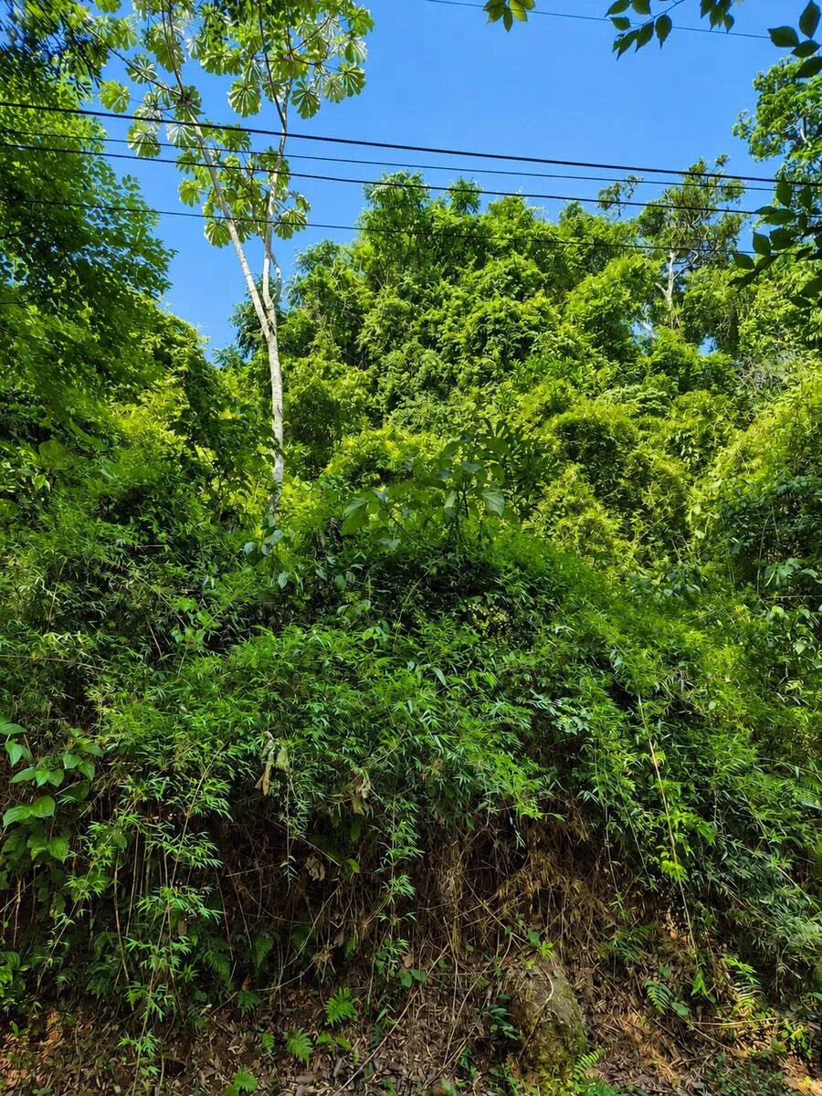 TERRENO EN VENTA EN BARRIO CERRADO CERROS DEL TUPY | ELDORADO MISIONES - 9