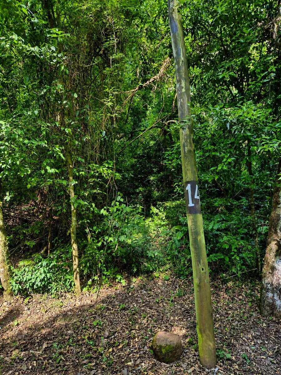 TERRENO EN VENTA EN BARRIO CERRADO CERROS DEL TUPY | ELDORADO MISIONES - 8