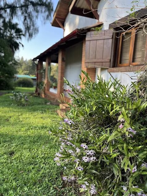 CASA COLONIAL + VIVIENDA FAMILIAR EN VENTA | PUERTO ESPERANZA MISIONES — foto 3