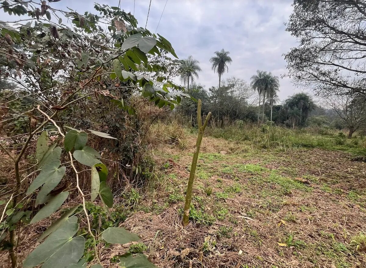 Terrenos En Venta Sobre Av. Fundador Km7 - 6