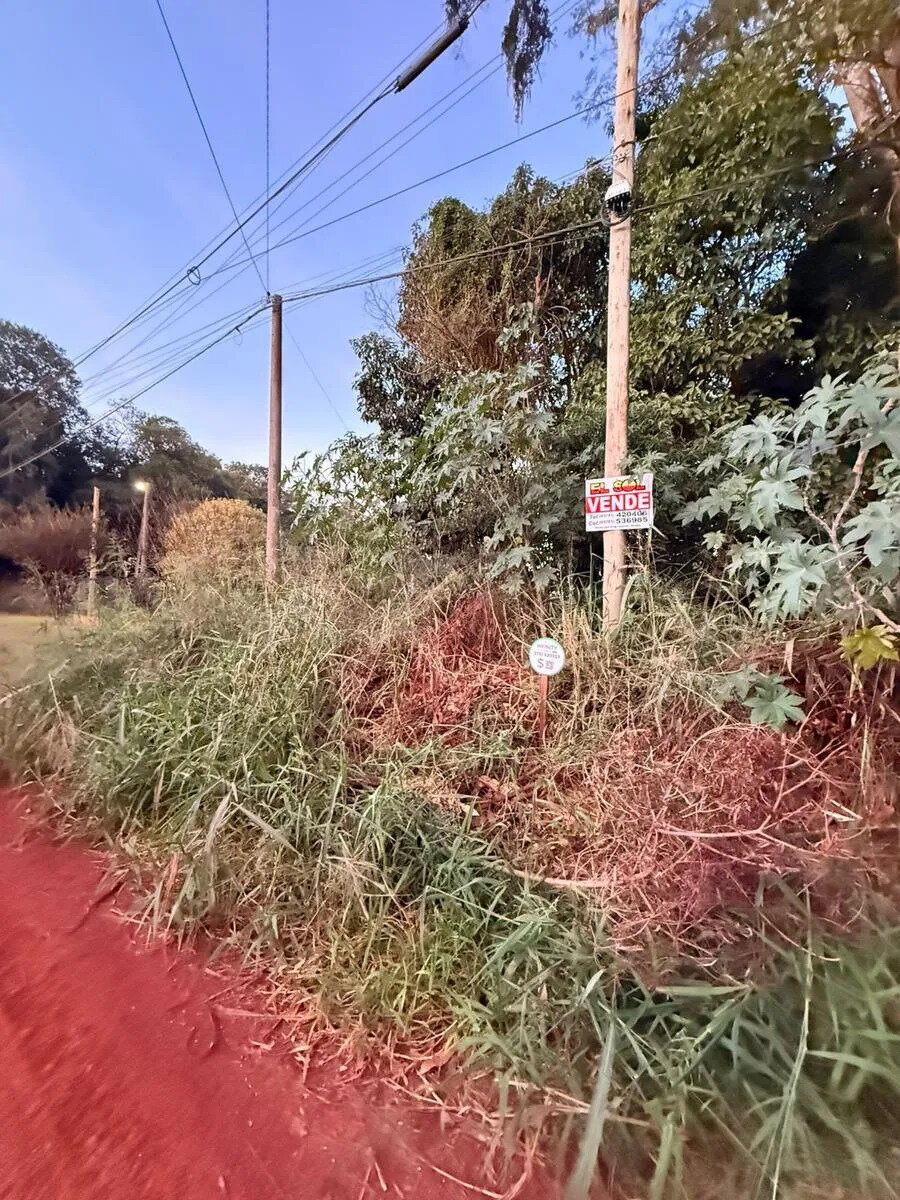 TERRENO EN VENTA EN EL KM5 SOBRE CALLE PIONERO RIEDLER | ELDORADO MISIONES - 3