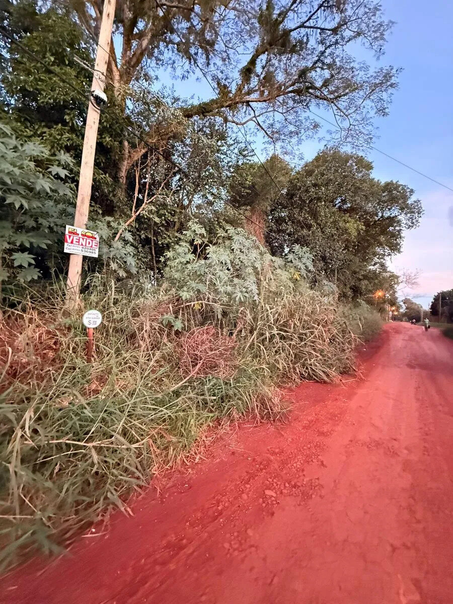TERRENO EN VENTA EN EL KM5 SOBRE CALLE PIONERO RIEDLER | ELDORADO MISIONES - 4