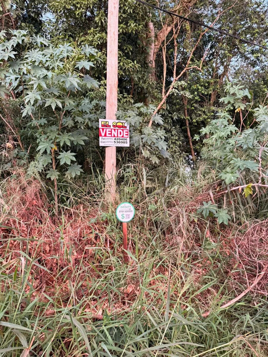 TERRENO EN VENTA EN EL KM5 SOBRE CALLE PIONERO RIEDLER | ELDORADO MISIONES - 2