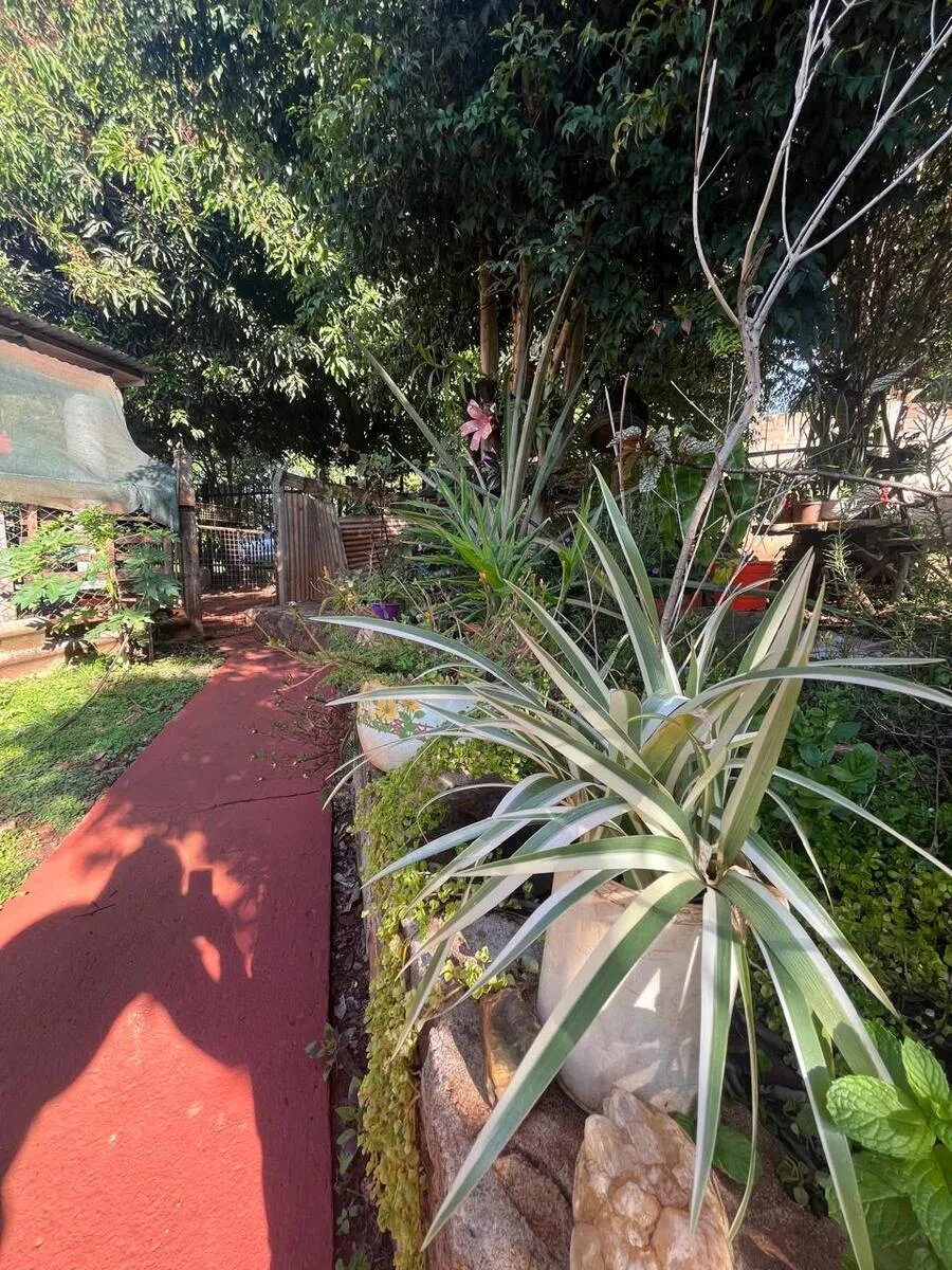 CASA EN VENTA UBICADA SOBRE CALLE SANTO PIPO 1663 KM9 | ELDORADO MISIONES — foto 5