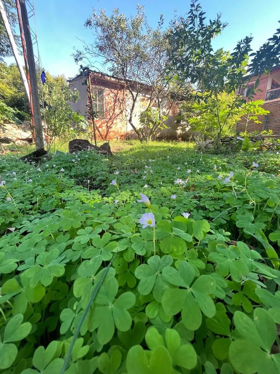 CASA EN VENTA UBICADA SOBRE CALLE SANTO PIPO 1663 KM9 | ELDORADO MISIONES — foto 2