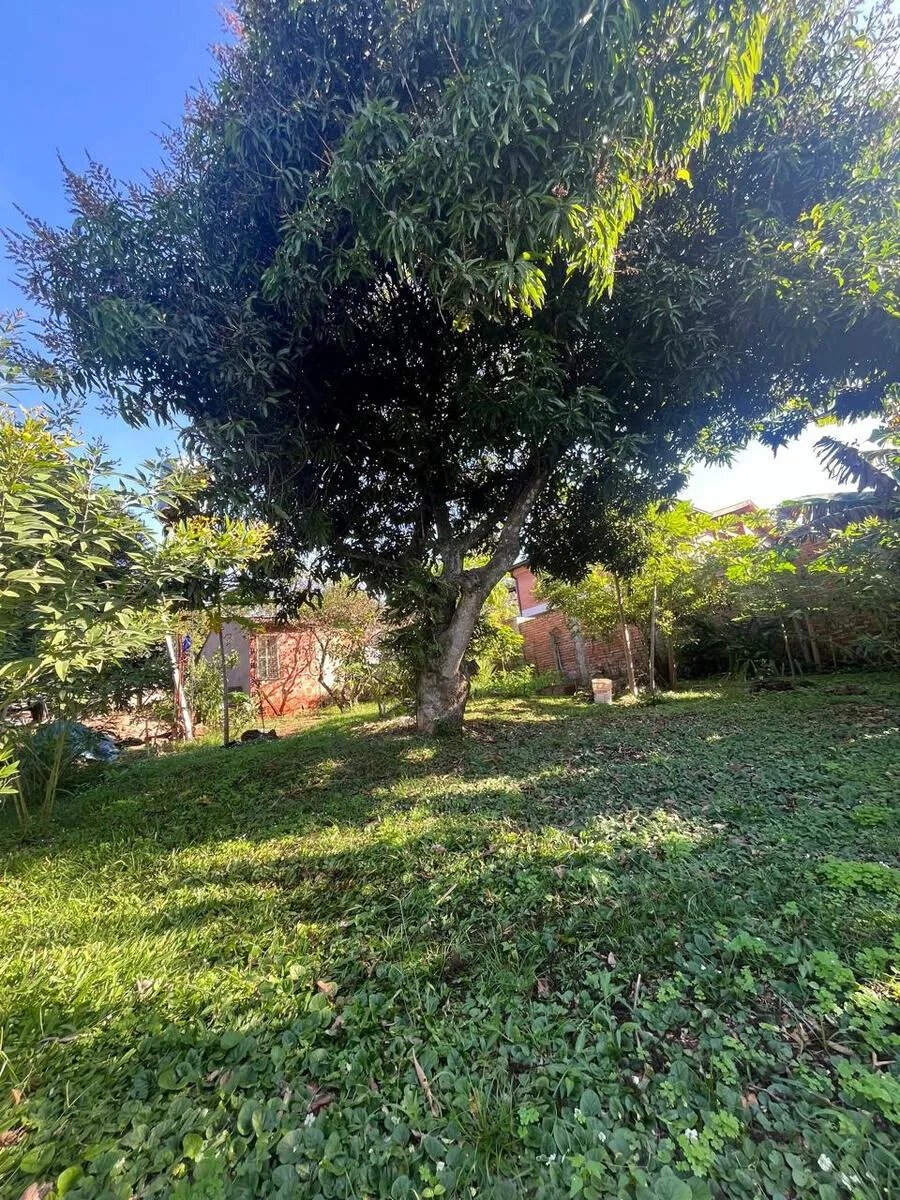 CASA EN VENTA UBICADA SOBRE CALLE SANTO PIPO 1663 KM9 | ELDORADO MISIONES — foto 3