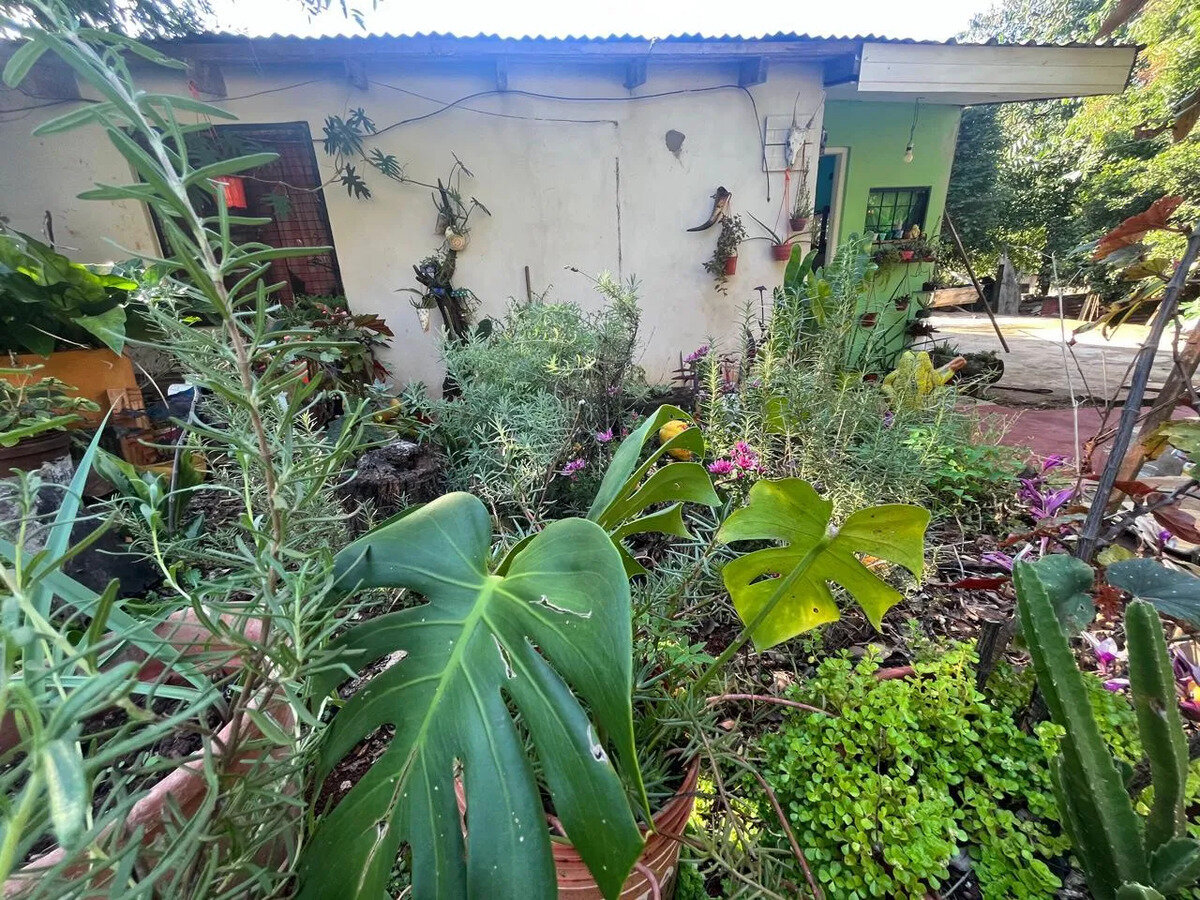 CASA EN VENTA UBICADA SOBRE CALLE SANTO PIPO 1663 KM9 | ELDORADO MISIONES — foto 7