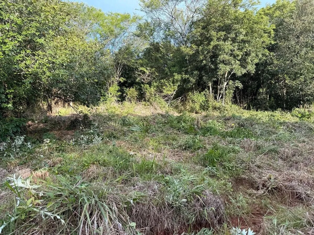 TERRENO RESIDENCIAL 100% FINANCIADO EN VENTA UBICADO EN BARRIO ESPERANZA | ELDORADO MISIONES - 6