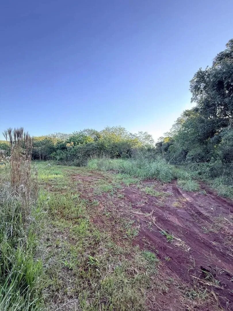 TERRENO RESIDENCIAL 100% FINANCIADO EN VENTA UBICADO EN BARRIO ESPERANZA | ELDORADO MISIONES - 3