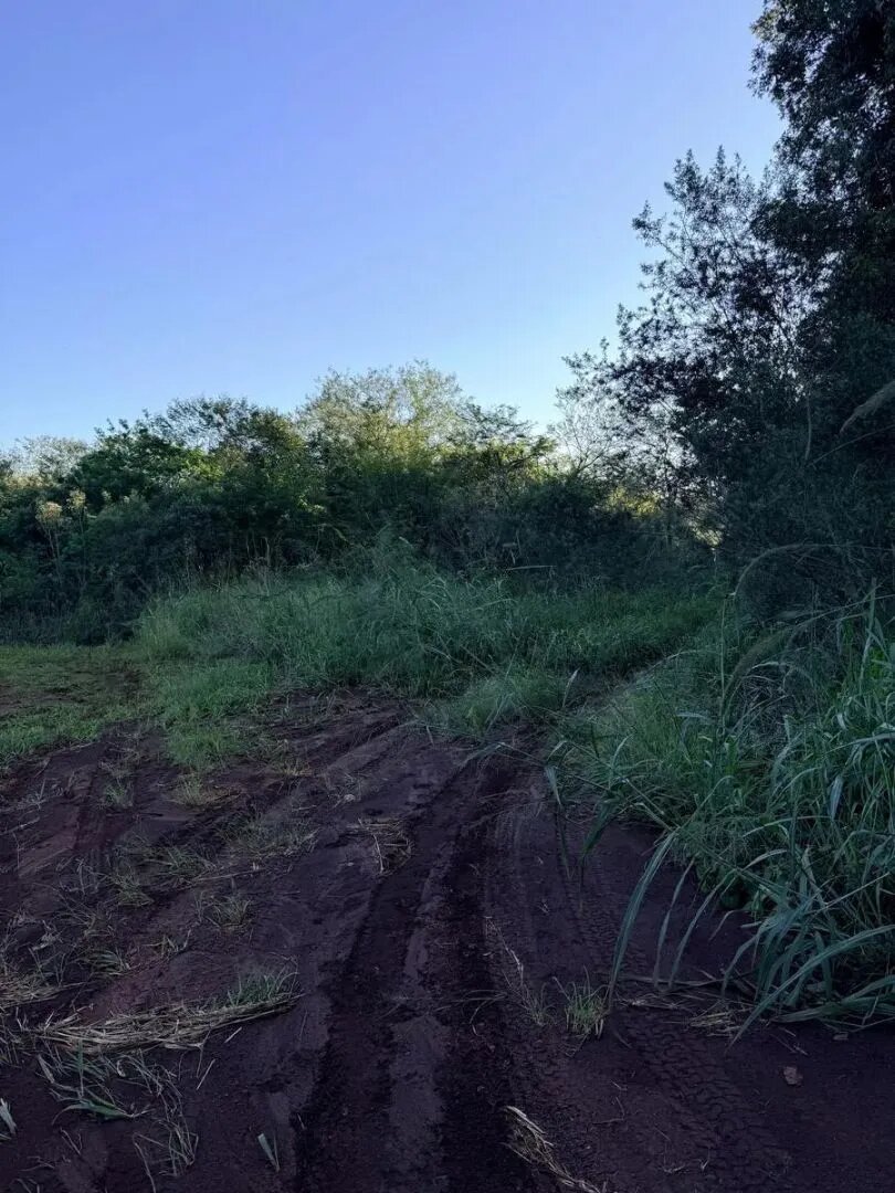 TERRENO RESIDENCIAL 100% FINANCIADO EN VENTA UBICADO EN BARRIO ESPERANZA | ELDORADO MISIONES - 4