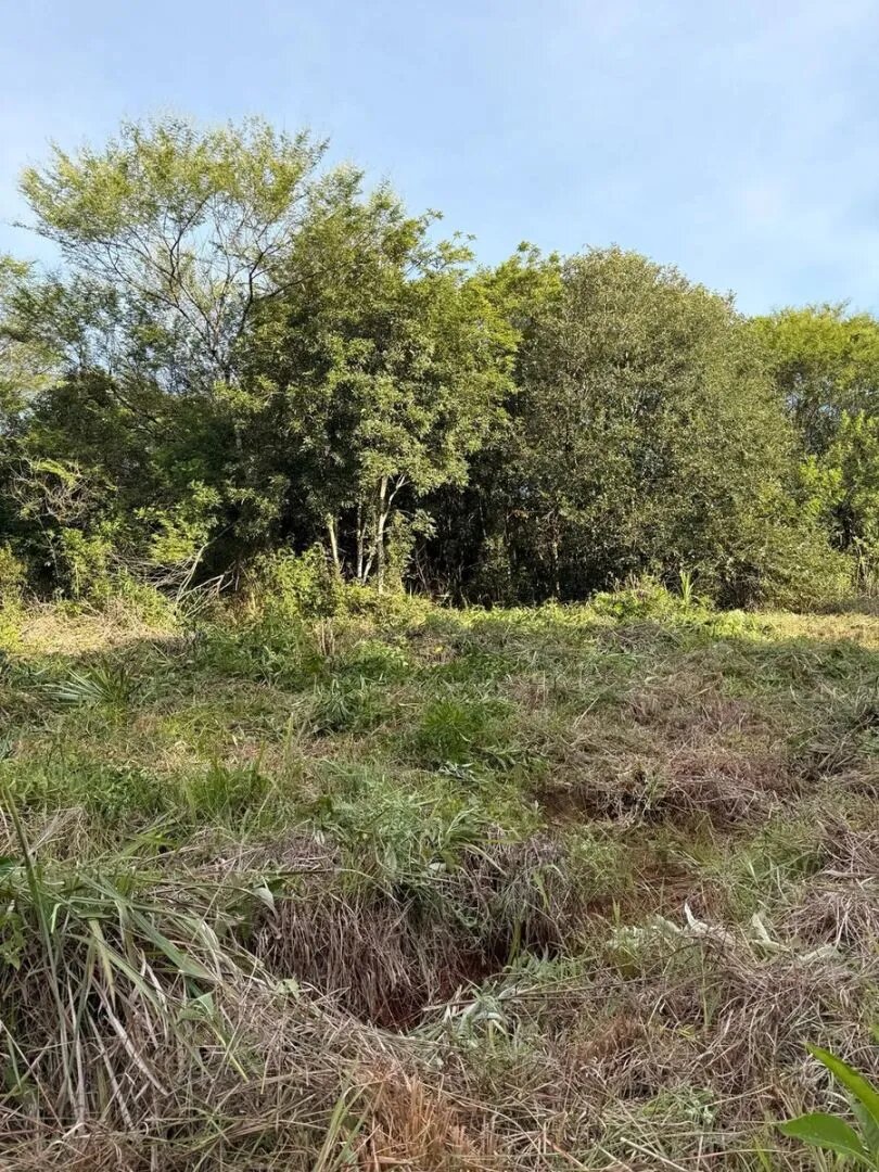 TERRENO RESIDENCIAL 100% FINANCIADO EN VENTA UBICADO EN BARRIO ESPERANZA | ELDORADO MISIONES - 5