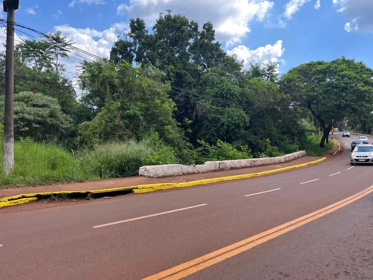 LOTE COMERCIAL/INDUSTRIAL DE 27.000M2 UBICADO SOBRE AV. SAN MARTÍN | ELDORADO - 3