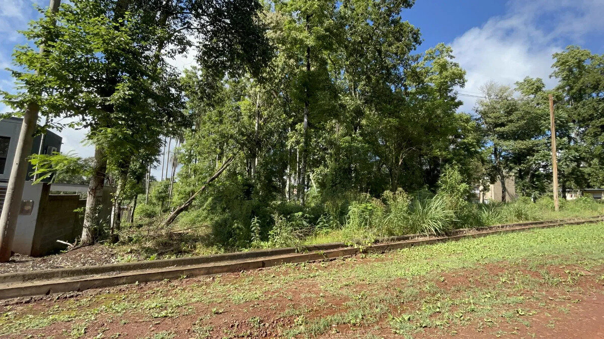 TERRENO CENTRICO EN VENTA SOBRE CALLES PENSAMIENTO Y FINLANDIA KM9 | ELDORADO MISIONES - 6