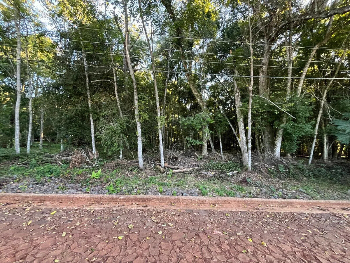 2 Terreno En Venta En El Km11 De Eldorado ¡oportunidad Imperdible - 5
