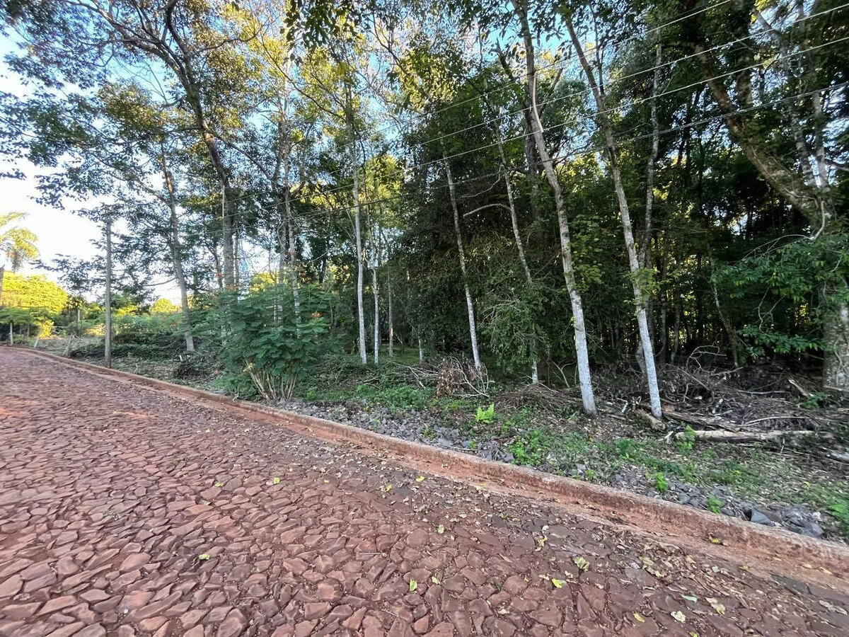 2 Terreno En Venta En El Km11 De Eldorado ¡oportunidad Imperdible - 3