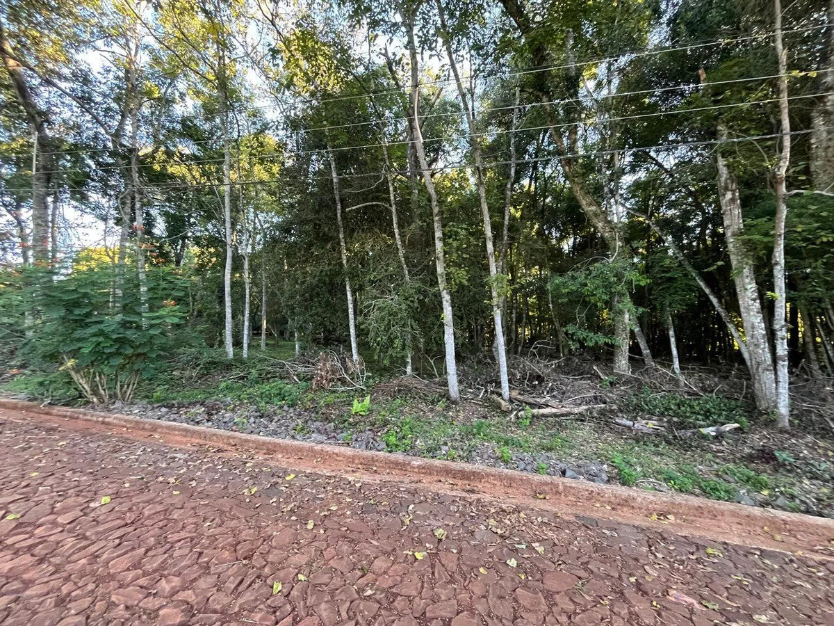 2 Terreno En Venta En El Km11 De Eldorado ¡oportunidad Imperdible - 4