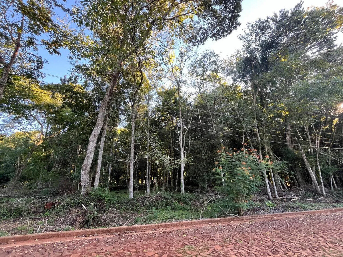 2 Terreno En Venta En El Km11 De Eldorado ¡oportunidad Imperdible - 7
