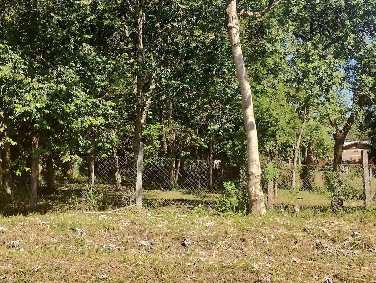 TERRENO EN VENTA EN ESQUINA DE CALLES EZEIZA Y COCHABAMBA KM10 | ELDORADO MISIONES - 5