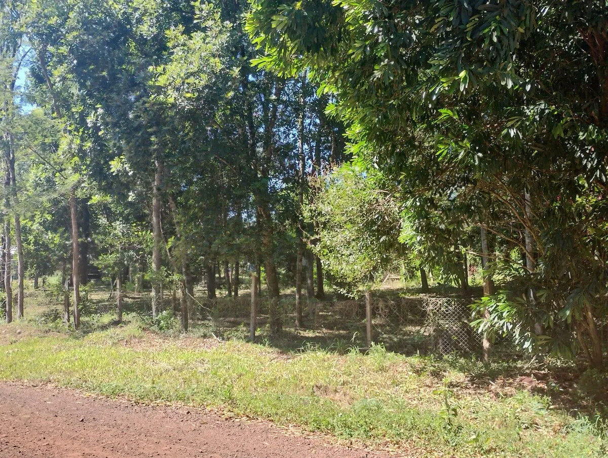 TERRENO EN VENTA EN ESQUINA DE CALLES EZEIZA Y COCHABAMBA KM10 | ELDORADO MISIONES - 6