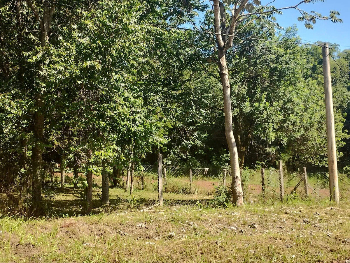 TERRENO EN VENTA EN ESQUINA DE CALLES EZEIZA Y COCHABAMBA KM10 | ELDORADO MISIONES - 7