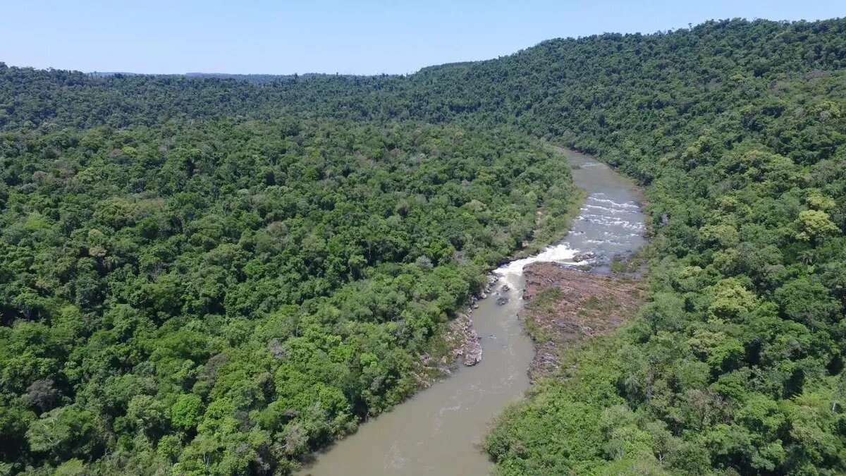 ¡reserva Privada En Venta! 778 Hectareas De Terreno - 1