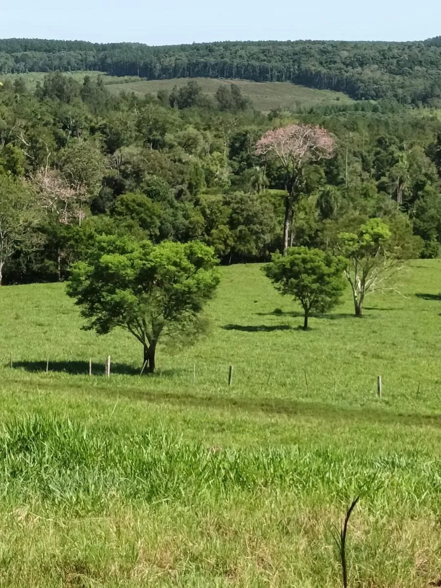 ¡reserva Privada En Venta! 778 Hectareas De Terreno - 15