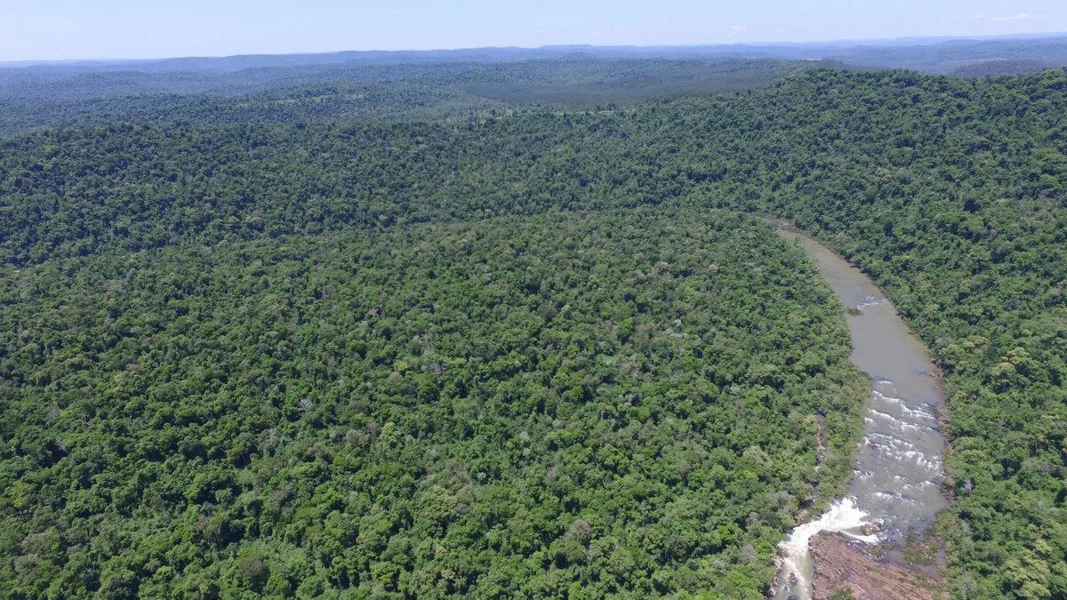 ¡reserva Privada En Venta! 778 Hectareas De Terreno - 5