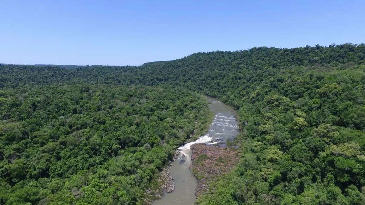 ¡reserva Privada En Venta! 778 Hectareas De Terreno - 2
