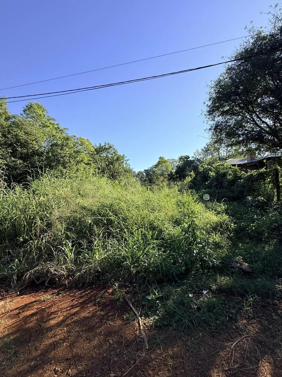 Terreno En Venta Con Titulo En El Km3 De Eldorado Misiones - 2