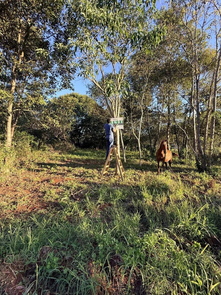 TERRENO RESIDENCIAL EN VENTA EN EL BARRIO JOSSY KM12 | ELDORADO MISIONES - 5