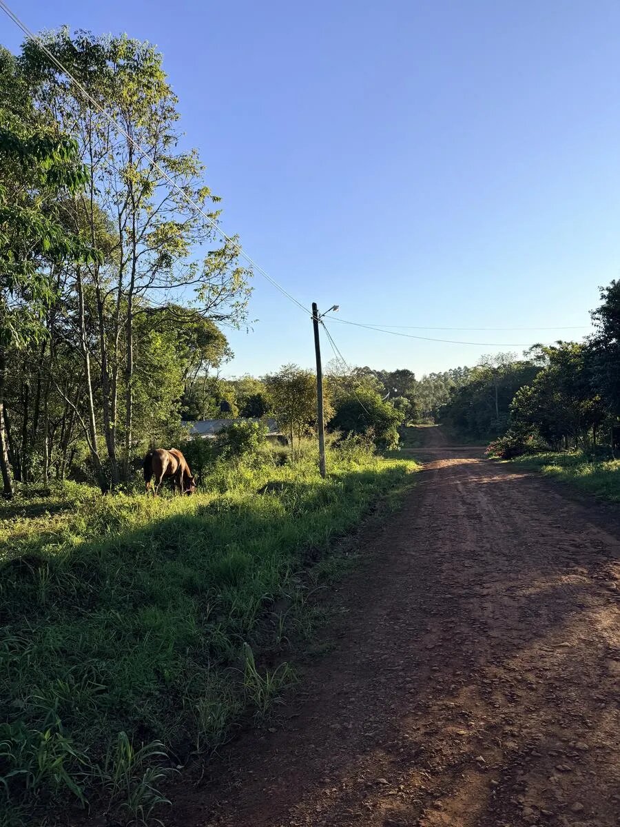 TERRENO RESIDENCIAL EN VENTA EN EL BARRIO JOSSY KM12 | ELDORADO MISIONES - 2