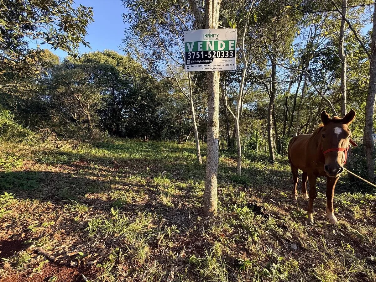 TERRENO RESIDENCIAL EN VENTA EN EL BARRIO JOSSY KM12 | ELDORADO MISIONES - 7