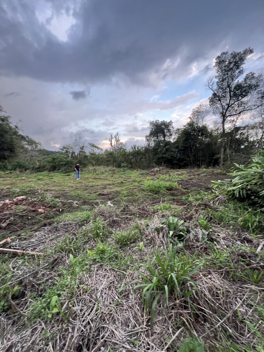 TERRENO EN VENTA UBICADO EN EL KM11 CASI CALLE LOS CEDROS | ELDORADO MISIONES - 7
