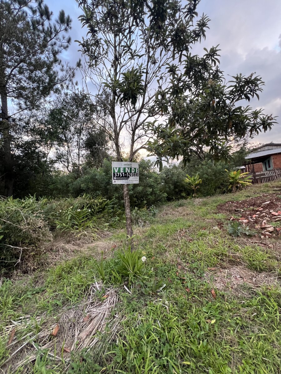 TERRENO EN VENTA UBICADO EN EL KM11 CASI CALLE LOS CEDROS | ELDORADO MISIONES - 1