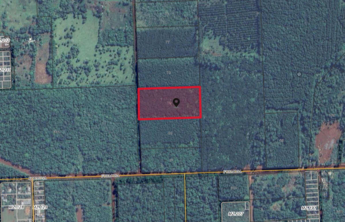 Lote De 2 Hectareas En Venta En La Ciudad De Eldorado — foto 2