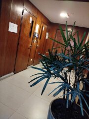 Departamentos - Rosario - Alquiler