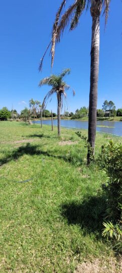 Terrenos - Rosario - Venta