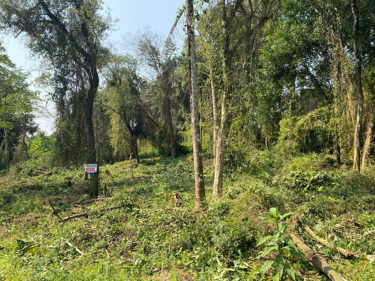 Terreno En Venta De 630m2, Eldorado - Misiones - 3