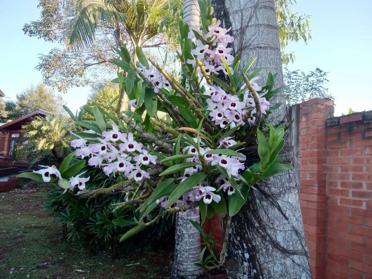 Casa De Alto Padron Ubicada En Eldorado, Misiones - 29