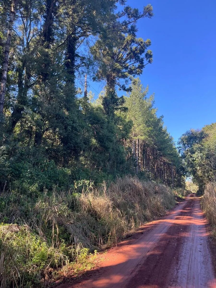 Lote De 2 Hectareas En Venta En La Ciudad De Eldorado - 2