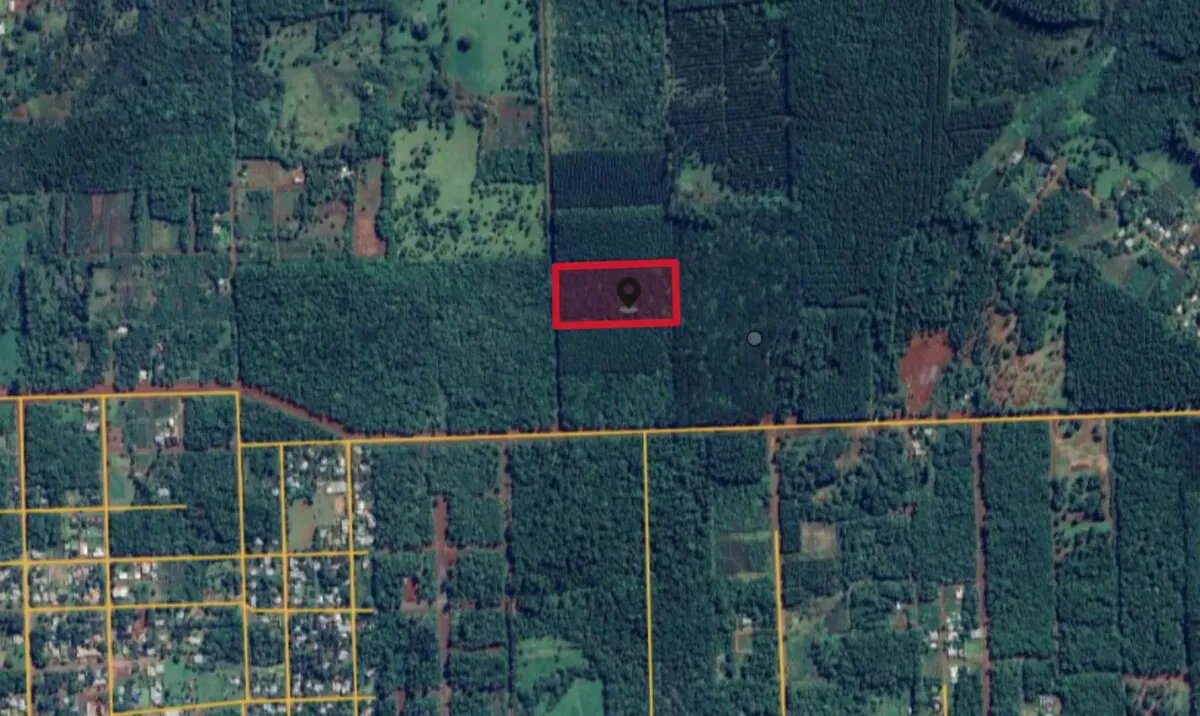 Lote De 2 Hectareas En Venta En La Ciudad De Eldorado - 6